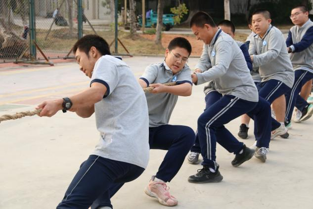 图片3.png